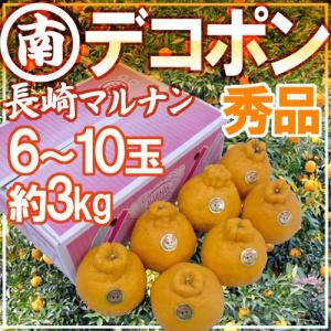 石川・能登産 ”ころ柿” 16〜20玉 桐箱入り 枯露柿【予約 12月中旬以降