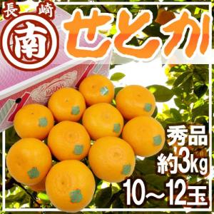 佐賀産 ”せとか” 大玉10〜12玉 約3kg 化粧箱入り【予約 1月中旬以降