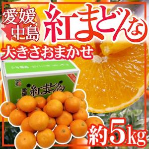 愛媛中島産 ”紅まどんな” 約5kg 大きさおまかせ ご家庭用【予約 12月以降】 送料無料