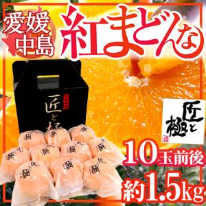 愛媛中島産 ”紅まどんな” 「匠と極」 10玉前後 約1.5kg【お歳暮・予約 12月以降】 送料無料