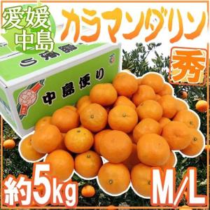 【送料無料】愛媛産 ”中島便り カラマンダリン” 秀品 M/...