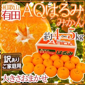 和歌山有田産 ”AQはるみみかん” 訳あり 約4〜5kg 大きさおまかせ【予約 1月下旬以降】 送料無料