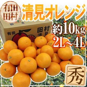 和歌山・田村産 ”清見オレンジ” 秀品 2L〜4L 約10kg【予約 3月中下旬以降】 送料無料