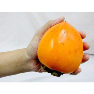 干し柿・吊るし柿用 ”渋柿” 山梨県 甲州百目...の詳細画像2