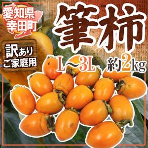 愛知 幸田町 ”筆柿” 訳あり 約2kg ふで柿【予約 10月以降】 送料無料