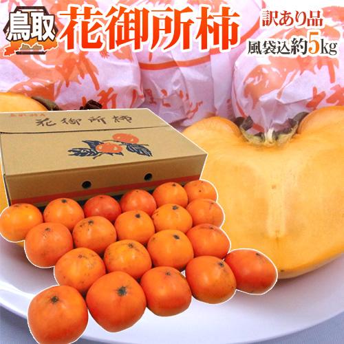 鳥取産 ”花御所柿” 訳あり 16〜24玉 風袋込約5kg【予約 12月以降】 送料無料