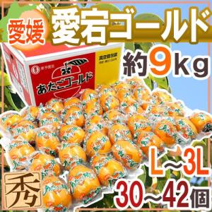 愛媛県 ”愛宕ゴールド” 秀品 L〜3L 30〜42玉 約9kg 愛宕柿【予約 12月中下旬以降】 送料無料