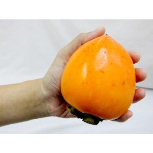 干し柿・吊るし柿用 ”渋柿” 山梨県 甲州百目...の詳細画像2