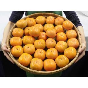 ”次郎柿” 訳あり 15〜30玉前後 約5kg...の詳細画像1