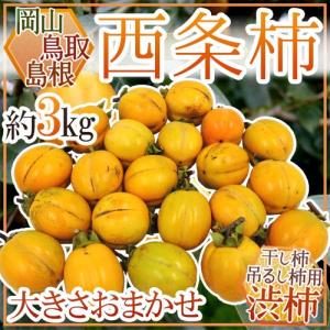 島根・鳥取・岡山産 干し柿・吊るし柿用 ”西条柿 渋柿” 約3kg 大きさおまかせ【予約 10月下旬以降】 送料無料