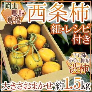 島根・鳥取・岡山産 干し柿・吊るし柿用 ”西条柿 渋柿” 約1.5kg 大きさおまかせ【予約 10月下旬以降】