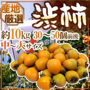 ‼️お買い得品‼️干し柿　干柿　箱込み10kg 柿 10kg 江戸柿【干柿用渋柿】奈良産 ご家庭用 送料無料 食品