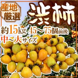 干し柿・吊るし柿用 ”渋柿” 中〜大サイズ 約15kg 「愛宕柿」「大和柿」いずれかを旬な産地で♪【予約 11月中旬以降】 送料無料
