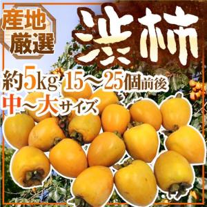 富士 甲州百目柿 1箱（15-20個入）※11月初旬頃発送予定 : 山の