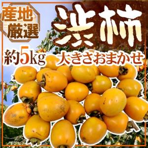干し柿・吊るし柿用 ”渋柿” 約5kg 大きさおまかせ 「愛宕柿」「大和柿」いずれかを旬な産地で♪【予約 11月中旬以降】 送料無料