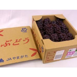 ぶどう 山形産 ”デラウェア” 秀品 10〜1...の詳細画像2