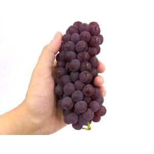 ぶどう 山形産 ”デラウェア” 秀品 10〜1...の詳細画像3