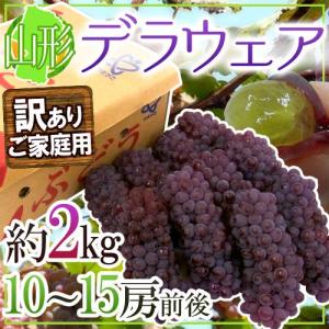 ぶどう 山形産 ”デラウェア” 訳あり 10〜15房前後 約2kg【予約 7月下旬以降】