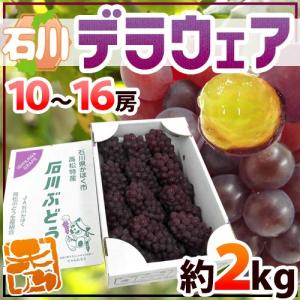 岡山産 ”シャインマスカット「晴王」” 7〜10房 約5kg ぶどう【予約 7月