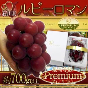 ぶどう 石川産 ”ルビーロマン” プレミアム等級 特大房 1房 約700g以上【予約 8月以降】 送料無料