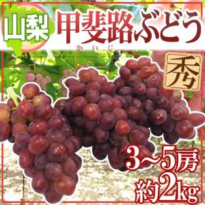 ぶどう ”山梨産 甲斐路ぶどう” 秀品 3〜5房 約2kg【予約 9月中旬以降】 送料無料