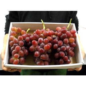 ぶどう ”山梨産 甲斐路ぶどう” 秀品 3〜5...の詳細画像1