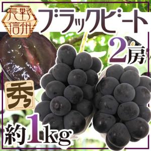 早期割引】藤稔 （ふじみのり） 黒ぶどう 山梨県 勝沼産 3Lサイズ×2房