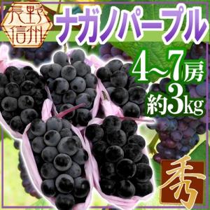 シャインマスカット” ちょっと訳あり 約5kg 大きさおまかせ 産地厳選