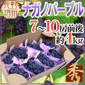 長野県産　加工用ナガノパープル ４キロ ナガノパープル 4kg 6-10房 特秀 種がなく皮ごと食べられるぶどうです