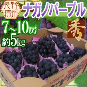ぶどう 長野産 ”ナガノパープル” 秀品 7〜10房 約5kg【予約 9月以降】[M1] 送料無料