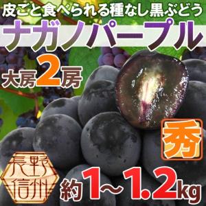 ぶどう 長野産 ”ナガノパープル” 秀品 大房限定 2房 約1〜1.2kg ぶどう【予約 9月以降】[M2] 送料無料
