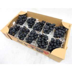 ぶどう 長野産 ”ナガノパープル” 秀品 10...の詳細画像1