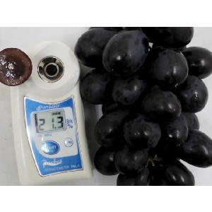 ぶどう 長野産 ”ナガノパープル” 秀品 10...の詳細画像2