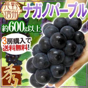 ぶどう 長野産 ”ナガノパープル” 秀品 2L/...の商品画像