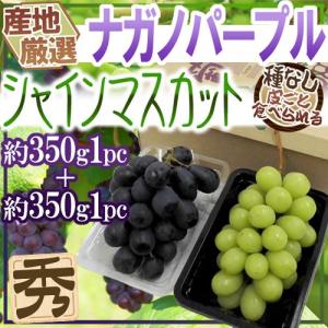 ”シャインマスカット＆ナガノパープル” 秀品 1pc約350g＋1pc約350g 合計2pc約700g 産地厳選 食べ比べ ぶどう【予約 9月以降】 送料無料