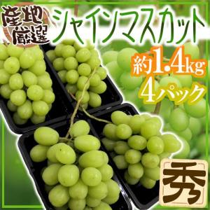 岡山産 ”シャインマスカット「晴王」” 7〜10房 約5kg ぶどう【予約 7月
