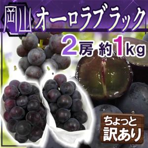 ぶどう ”岡山産 オーロラブラック” 2房 約1kg ちょっと訳あり【予約 7月下旬以降】 送料無料