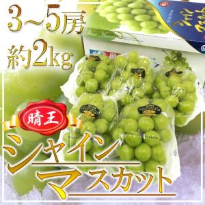 シャインマスカット　晴王　5キロ　9入　岡山県産 ケース 箱売り シャインマスカット 晴王 マスカット ぶどう 岡山
