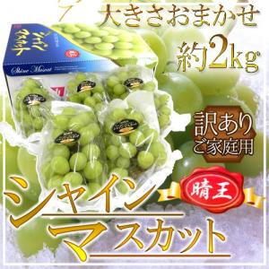 ギフト 山梨産 ぶどう 3種お任せ詰合せ 4kg 送料無料※一部を除く