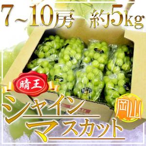 岡山産 ”シャインマスカット「晴王」” 7〜10房 約5kg ぶどう【予約 7月