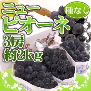 ぶどう 岡山産 種なしぶどう ”ニューピオーネ” 秀品 3房 約2kg【予約 7月下旬以降】 送料無料