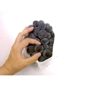 ぶどう 岡山産 種なしぶどう ”ニューピオーネ...の詳細画像4