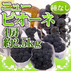 ぶどう 岡山産 種なしぶどう ”ニューピオーネ” 秀品 4房 約2.5kg【予約 7月下旬以降】 送料無料