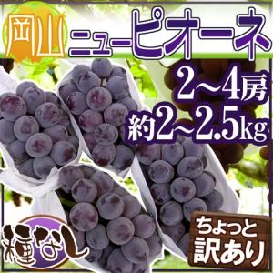 ぶどう ”岡山産 種なしニューピオーネ” 2〜4房 約2〜2.5kg ちょっと訳あり【予約 9月以降】 送料無料