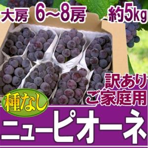 ぶどう 岡山産 ”種なしニューピオーネ” 6〜8房 約5kg ちょっと訳あり【予約 9月以降】 送料無料
