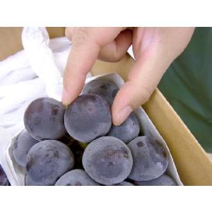 ぶどう 岡山産 ”種なしニューピオーネ” 6〜...の詳細画像2