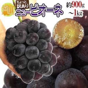2026 ギフト 岡山県産 ピオーネ 赤秀品 2房（500g×2房） 贈答用