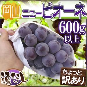 ぶどう ”岡山産 種なしニューピオーネ” 1房 約600g以上 ちょっと訳あり《4房購入で送料無料！7房購入で1房おまけ》【予約 9月以降】