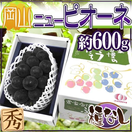 ぶどう 岡山産 種なしぶどう ”ニューピオーネ” 秀品 1房 約600g 化粧箱【予約 7月下旬以降...