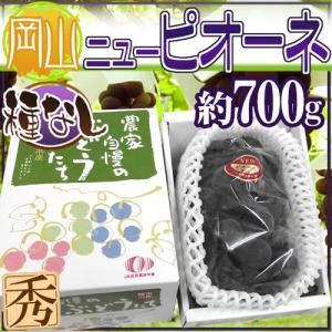 ぶどう 岡山産 種なしぶどう ”ニューピオーネ” 秀品 1房 超大房 約700g 化粧箱【予約 7月下旬以降】 送料無料